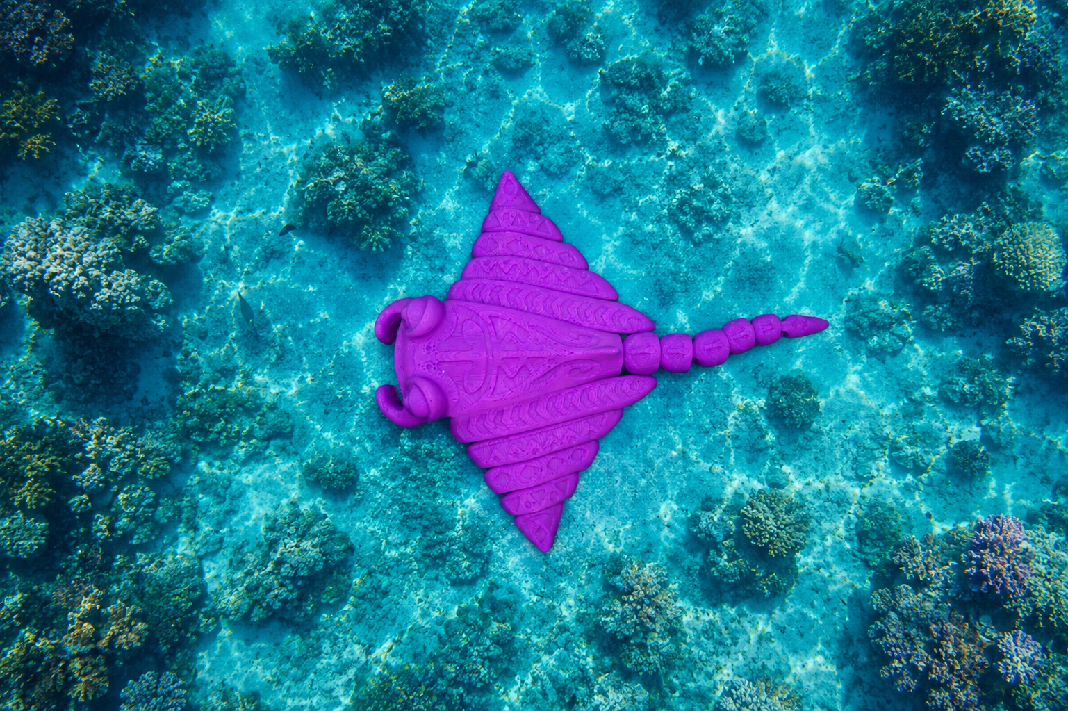 Stingray